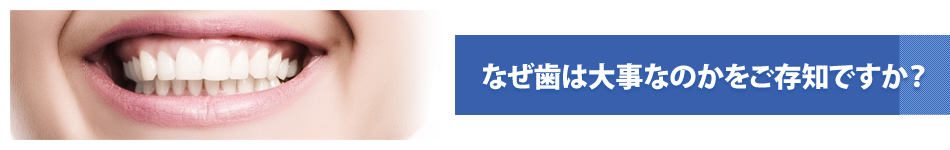 なぜ歯は大事なのかをご存知ですか？