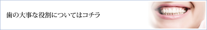 歯の大事な役割についてはコチラ